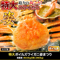 特大ボイルズワイガニ姿まつり 総重量:約3.6kg(5尾 正味3kg)