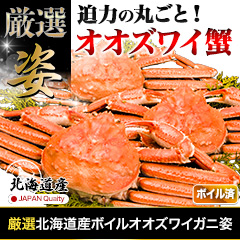厳選北海道産ボイルオオズワイガニ姿 総重量:約2.3kg(5～6尾 正味2kg)/総重量:約4.6kg(10～12尾 正味4kg)