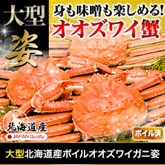 大型北海道産ボイルオオズワイガニ姿 総重量:約2.3kg(4尾 正味2kg)/総重量:約4.6kg(8尾 正味4kg)