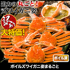 訳ありボイルズワイガニ姿まつり 総重量:約5.5kg(約7尾～約12尾 正味5kg)