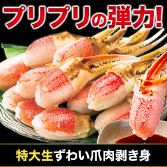 特大生ずわい爪肉剥き身 総重量:約1.5kg(正味1.2kg)/総重量:約3kg(正味2.4kg)
