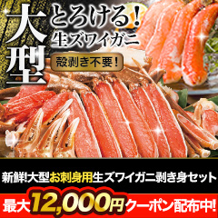 新鮮！大型お刺身用生ズワイガニ剥き身セット 総重量:約1.5kg(正味1.2kg)/総重量:約3kg(正味2.4kg)/総重量:約4.5kg(正味3.6kg)