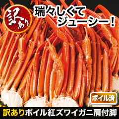 訳ありボイル紅ズワイガニ肩付脚 総重量:約4.8kg(正味4kg)