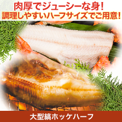 大型縞ホッケハーフ 1枚