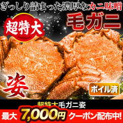 超特大毛ガニ姿 総重量:約1.2kg(1尾正味1kg)/ 総重量:約2.4kg(2尾正味2kg)
