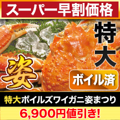 【スーパー早割価格】特大ボイルズワイガニ姿まつり 総重量:約3.6kg(5尾 正味3kg)