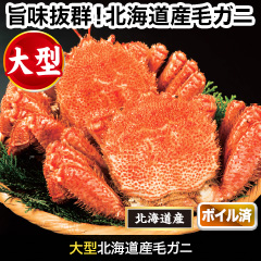 大型北海道産毛ガニ 総重量:約600g(1尾 正味550g前後)総重量:約1.2kg(2尾 正味1.1kg前後)/総重量:約2.2kg(4尾 正味2kg前後)