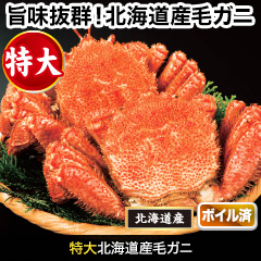 特大北海道産毛ガニ 総重量:約730g(1尾 正味670g前後)/総重量:約2.2kg(3尾 正味2kg前後)