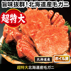 超特大北海道産毛ガニ 総重量:約1.1kg(1尾 正味約1kg)/総重量:約2.2kg(2尾 正味約2kg)
