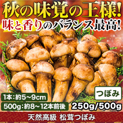 天然高級 松茸つぼみ 250g/500g