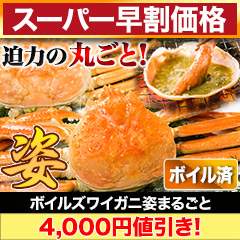 【スーパー早割価格】ボイルズワイガニ姿まるごと 総重量:約2.4kg(5尾 正味2kg)