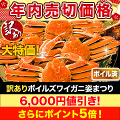 【年内売切価格】訳ありボイルズワイガニ姿まつり 総重量:約5.5kg(約7尾～約12尾 正味5kg)