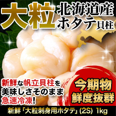 新鮮「大粒刺身用ホタテ」(2S) 1kg