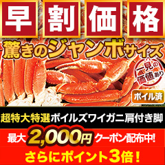 【早割価格】超特大特選ボイルズワイガニ肩付き脚 総重量:約1.8kg(正味:1.5kg)/総重量:約3.6kg(正味:3kg)/総重量:約5.5kg(正味:5kg)