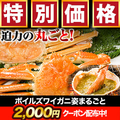 【早割価格】ボイルズワイガニ姿まるごと 総重量:約2.4kg(5尾 正味2kg)
