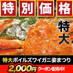 【早割価格】特大ボイルズワイガニ姿まつり 総重量:約3.6kg(5尾 正味3kg)