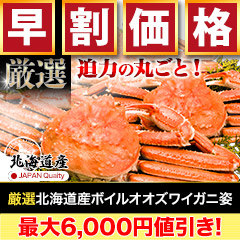 【早割価格】厳選北海道産ボイルオオズワイガニ姿総重量:約2.3kg(5～6尾 正味2kg)/総重量:約4.6kg(10～12尾 正味4kg)