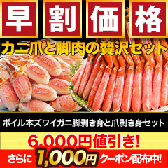 【早割価格】ボイル本ズワイガニ脚剥き身と爪剥き身セット 総重量:約2kg(正味1.6kg)