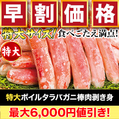【早割価格】特大ボイルタラバガニ棒肉剥き身 総重量:約750g(正味600g)/総重量:約1.5kg(正味1.2kg)