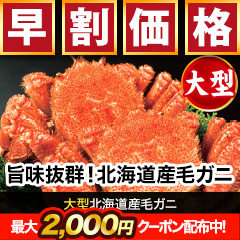 【早割価格】大型北海道産毛ガニ 総重量:約600g(1尾 正味550g前後)総重量:約1.2kg(2尾 正味1.1kg前後)/総重量:約2.2kg(4尾 正味2kg前後)