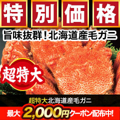 【早割価格】超特大北海道産毛ガニ 総重量:約1.1kg(1尾 正味約1kg)/総重量:約2.2kg(2尾 正味約2kg)