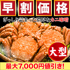 【早割価格】大型毛ガニ姿 総重量:約1.2kg(2尾正味1kg)/総重量:約2.4kg(4尾正味2kg)
