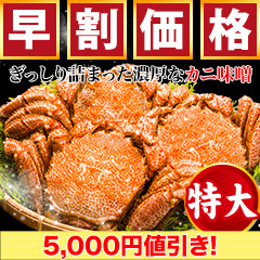 【早割価格】特大毛ガニ姿 総重量:約2.4kg(3尾正味2kg)