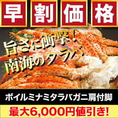 【早割価格】ボイルミナミタラバガニ肩付脚 総重量:約1.8kg(正味1.5kg)/総重量:約3.6kg(正味3kg)