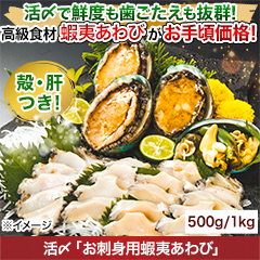 活〆「お刺身用 蝦夷あわび」 500ｇ/1kg