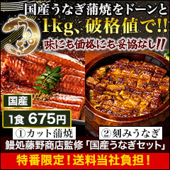 【特番・送料当社負担】得用 鰻処藤野商店監修「国産うなぎセット1kg」