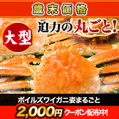 【歳末価格】大型ボイルズワイガニ姿まるごと 総重量:約3.6kg(6尾 正味3kg)