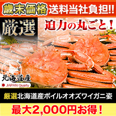 【歳末価格+送料当社負担】厳選北海道産ボイルオオズワイガニ姿総重量:約2.3kg(5～6尾 正味2kg)/総重量:約4.6kg(10～12尾 正味4kg)