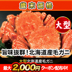 【歳末価格】大型北海道産毛ガニ 総重量:約600g(1尾 正味550g前後)総重量:約1.2kg(2尾 正味1.1kg前後)/総重量:約2.2kg(4尾 正味2kg前後)