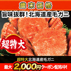 【歳末価格】超特大北海道産毛ガニ 総重量:約1.1kg(1尾 正味約1kg)/総重量:約2.2kg(2尾 正味約2kg)
