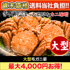 【歳末価格+送料当社負担】大型毛ガニ姿 総重量:約1.2kg(2尾正味1kg)/総重量:約2.4kg(4尾正味2kg)