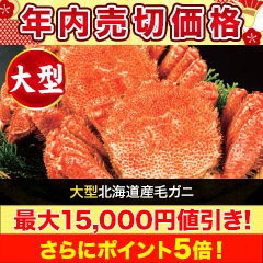 【年内売切価格】大型北海道産毛ガニ 総重量:約600g(1尾 正味550g前後)総重量:約1.2kg(2尾 正味1.1kg前後)/総重量:約2.2kg(4尾 正味2kg前後)