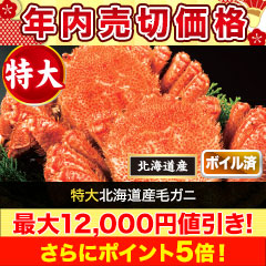 【年内売切価格】特大北海道産毛ガニ 総重量:約730g(1尾 正味670g前後)/総重量:約2.2kg(3尾 正味2kg前後)
