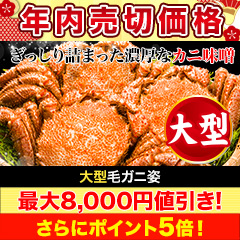 【年内売切価格】大型毛ガニ姿 総重量:約1.2kg(2尾正味1kg)/総重量:約2.4kg(4尾正味2kg)