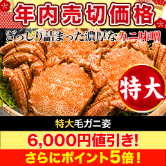 【年内売切価格】特大毛ガニ姿 総重量:約2.4kg(3尾正味2kg)