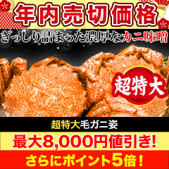 【年内売切価格】超特大毛ガニ姿 総重量:約1.2kg(1尾正味1kg)/ 総重量:約2.4kg(2尾正味2kg)