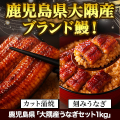 鹿児島県「大隅産うなぎセット」