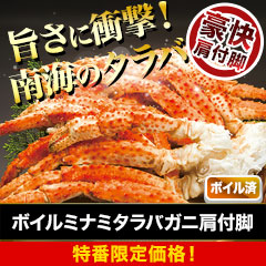 【特番限定価格】ボイルミナミタラバガニ肩付脚 総重量:約1.8kg(正味1.5kg)/総重量:約3.6kg(正味3kg)