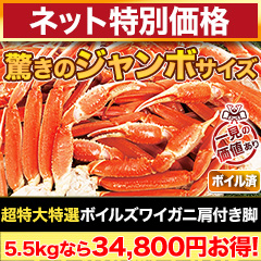 【ネット特別価格】超特大特選ボイルズワイガニ肩付き脚 総重量:約1.8kg(正味:1.5kg)/総重量:約3.6kg(正味:3kg)/総重量:約5.5kg(正味:5kg)