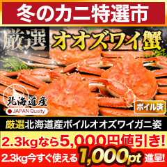 【冬のカニ特選市】厳選北海道産ボイルオオズワイガニ姿