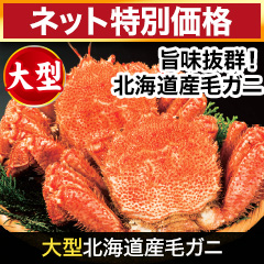 【ネット特別価格】大型北海道産毛ガニ 総重量:約600g(1尾 正味550g前後)総重量:約1.2kg(2尾 正味1.1kg前後)/総重量:約2.2kg(4尾 正味2kg前後)
