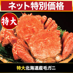 【ネット特別価格】特大北海道産毛ガニ 総重量:約730g(1尾 正味670g前後)/総重量:約2.2kg(3尾 正味2kg前後)