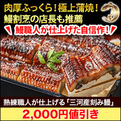【ラジオ売れ筋】熟練職人が仕上げる「三河産刻み鰻」5袋/10袋