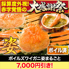 【大感謝祭】ボイルズワイガニ姿まるごと 総重量:約2.4kg(5尾 正味2kg)