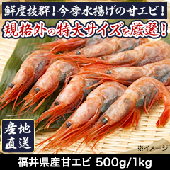 福井県産甘エビ 500g/1kg