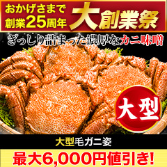 【大創業祭】大型毛ガニ姿 総重量:約1.2kg(2尾正味1kg)/総重量:約2.4kg(4尾正味2kg)